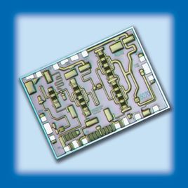 CUSTOM MMIC放大器 原裝現貨