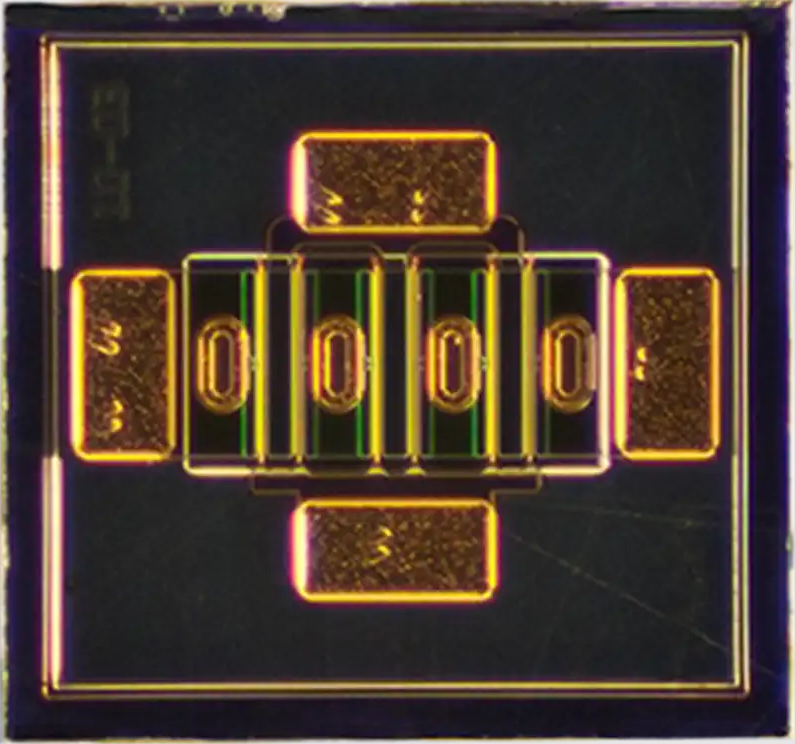 1695286092831973.png CREE (6).png