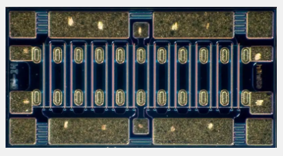 1704704526496907.png CREE (18).png