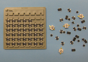 1598515826761056.jpg AMCOM.jpg