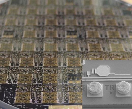 1666600606886803.jpg Aeroflex.jpg